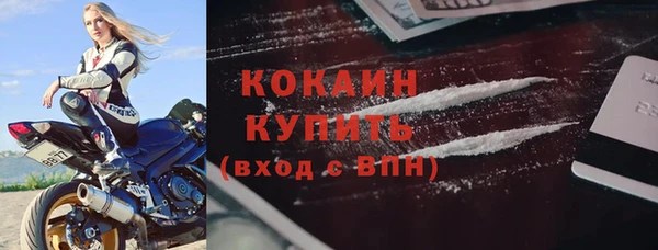 прущие грибы Верхний Тагил