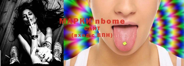 прущие грибы Верхний Тагил