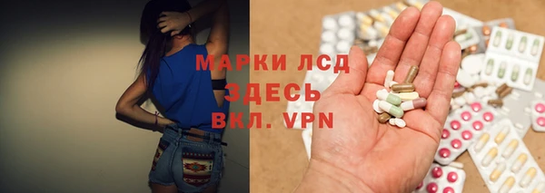прущие грибы Верхний Тагил