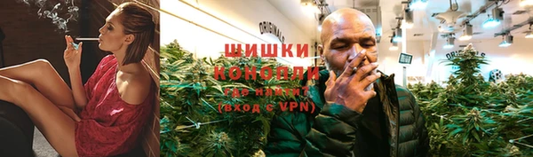 прущие грибы Верхний Тагил
