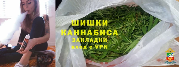 прущие грибы Верхний Тагил