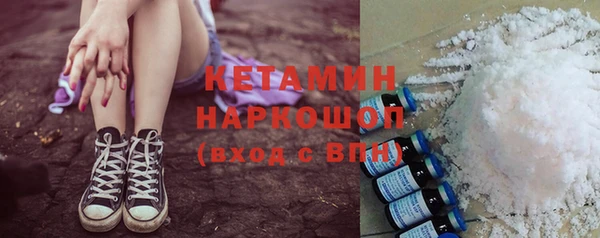 прущие грибы Верхний Тагил