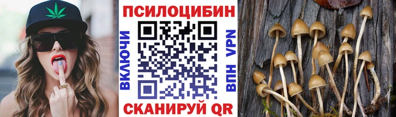 Галлюциногенные грибы мухоморы  Новосокольники 